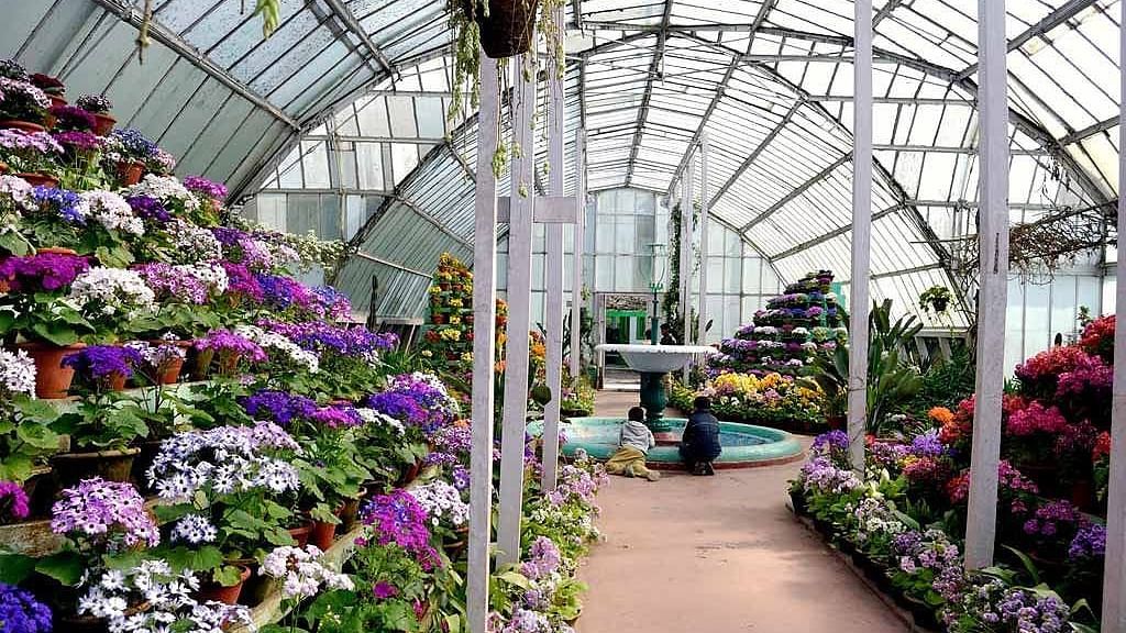 Botanical Gardens